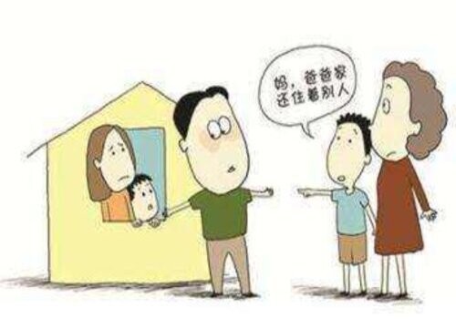 诉讼离婚分财产的原则有什么